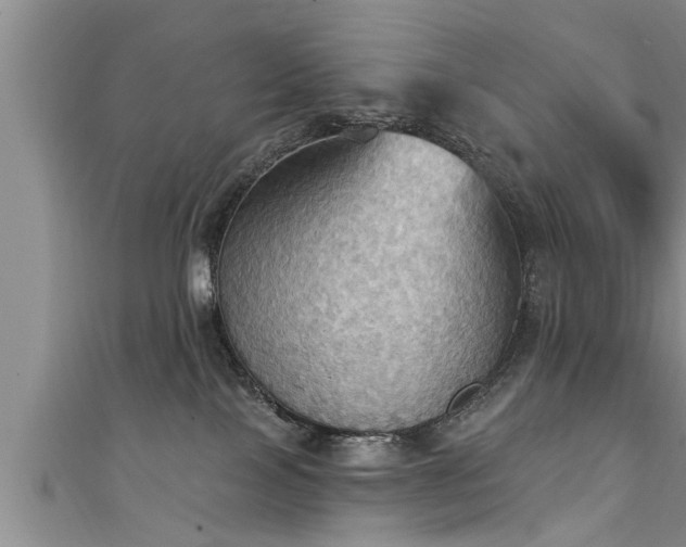 X0000111360089200907171213