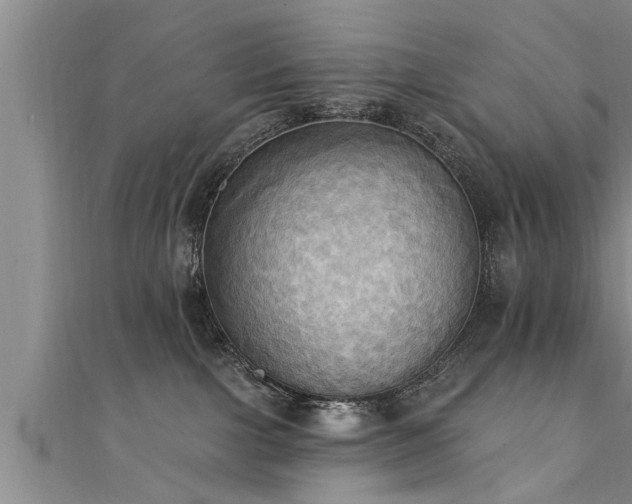 X0000111360091200907171213