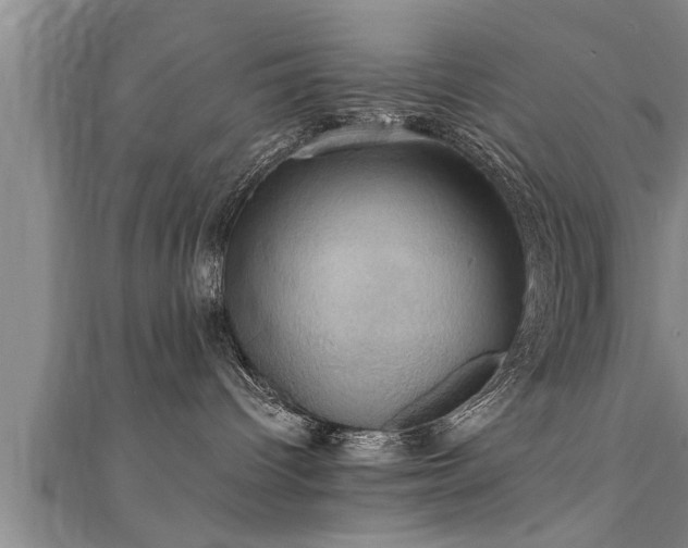 X0000111360096200907171213
