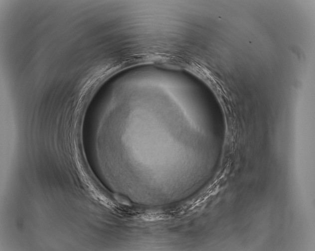 X0000111360097200907171212