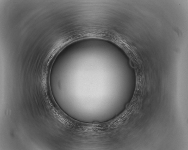 X0000111360098200907171212