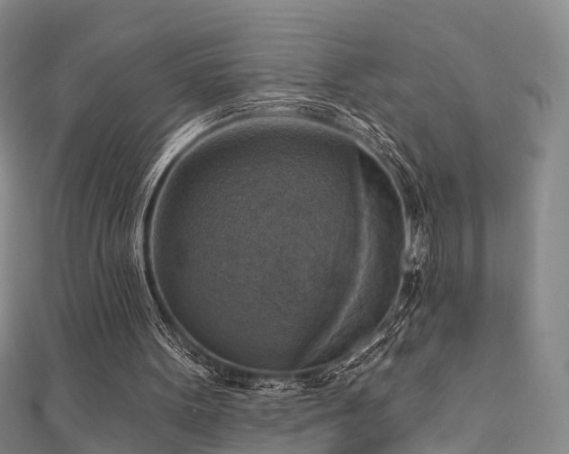 X0000111360099200907171212
