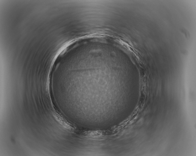 X0000111360100200907171212