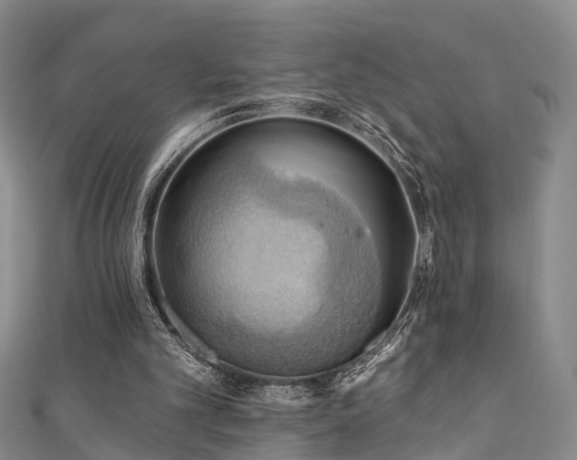 X0000111360101200907171212