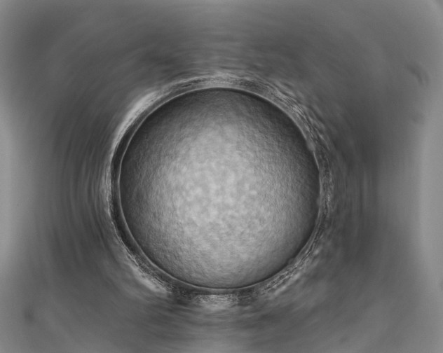 X0000111360102200907171212