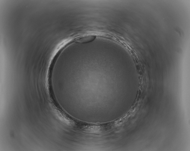 X0000111360104200907171212