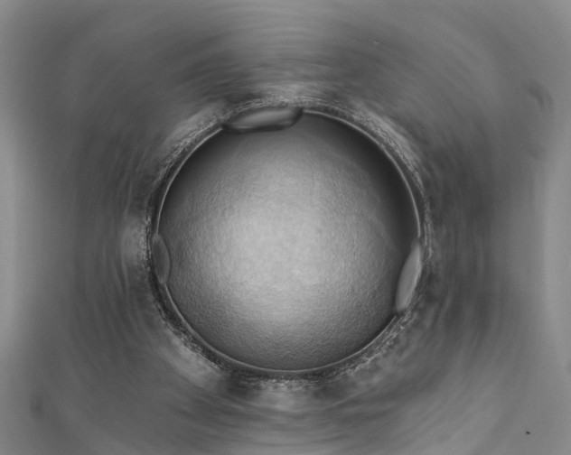 X0000111360105200907171212