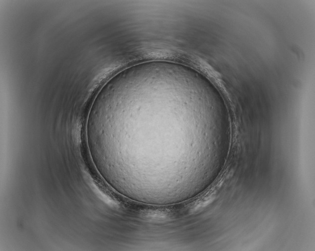 X0000111360106200907171212