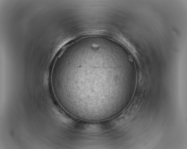 X0000111360107200907171212