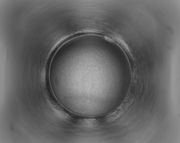 X0000111360108200907171212
