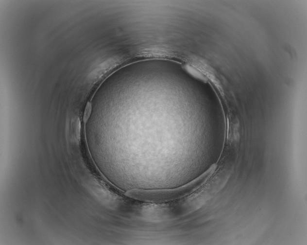 X0000111360109200907171212