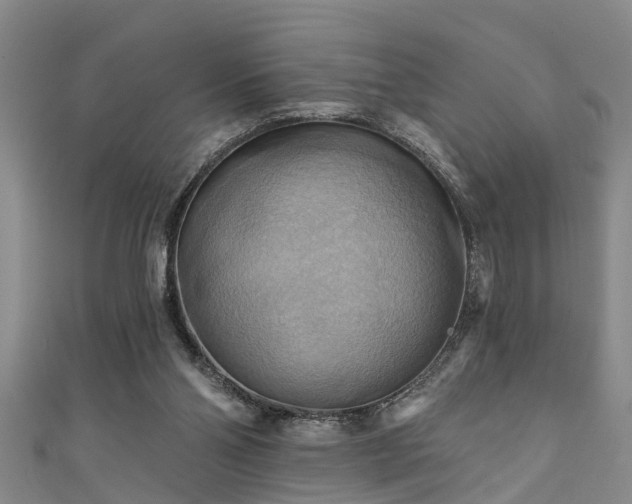 X0000111360110200907171212