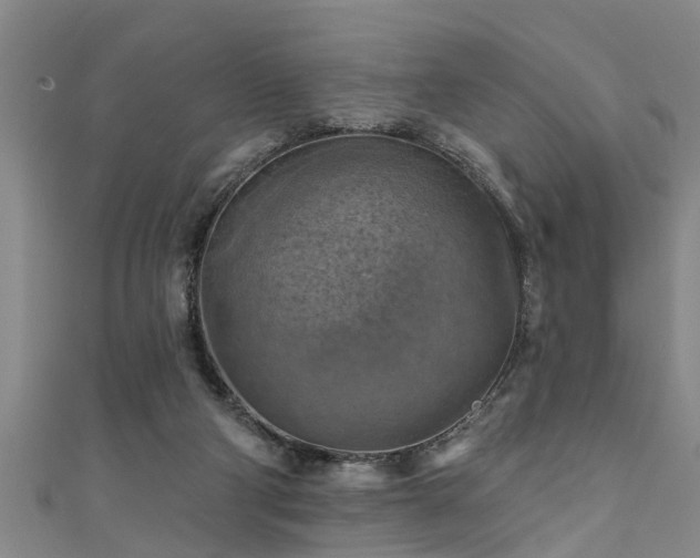 X0000111360114200907171212