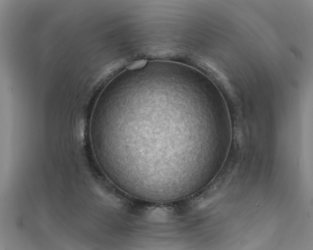 X0000111360115200907171212