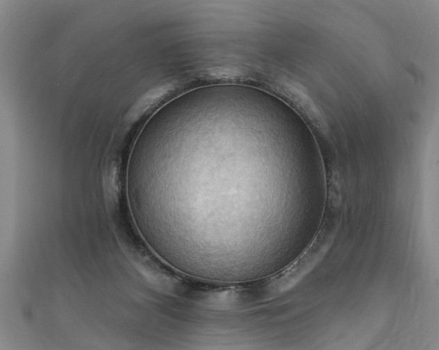 X0000111360116200907171212