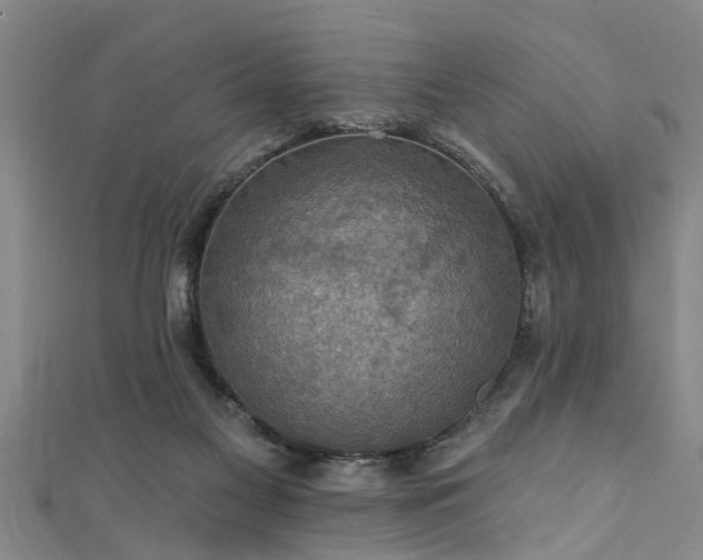 X0000111360117200907171212