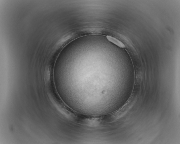 X0000111360120200907171212