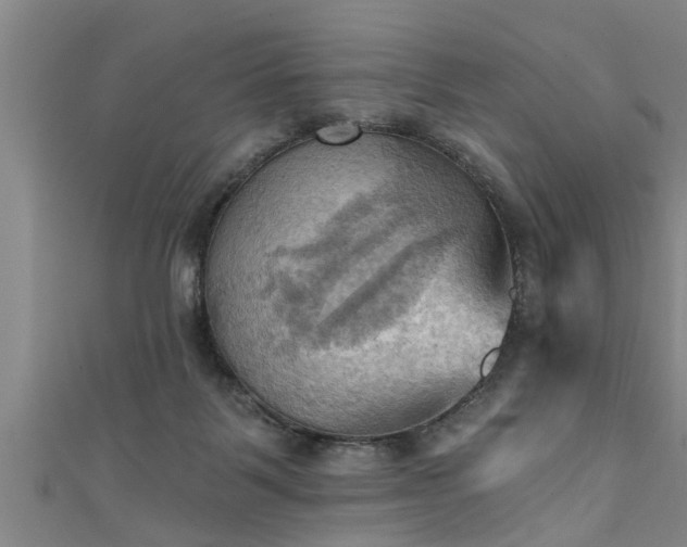 X0000111360123200907171212