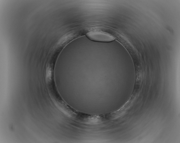 X0000111360124200907171212