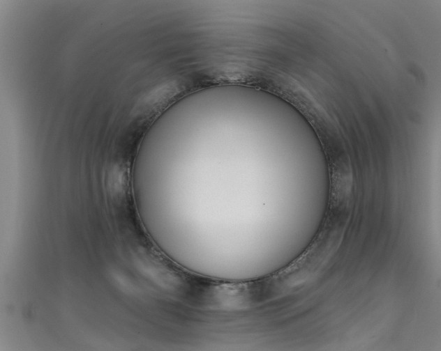X0000111360126200907171212