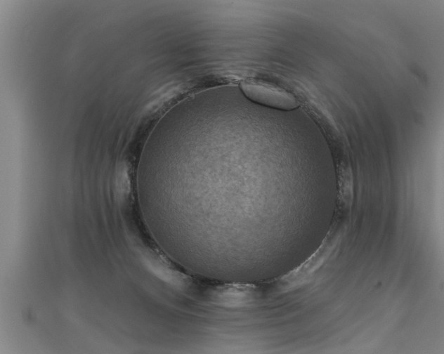 X0000111360128200907171212
