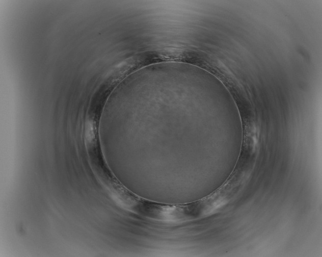 X0000111360130200907171212