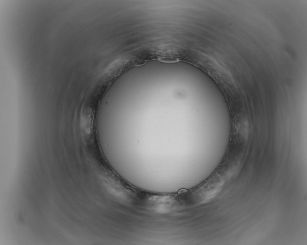 X0000111360133200907171212