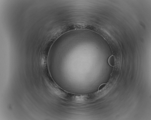 X0000111360134200907171212