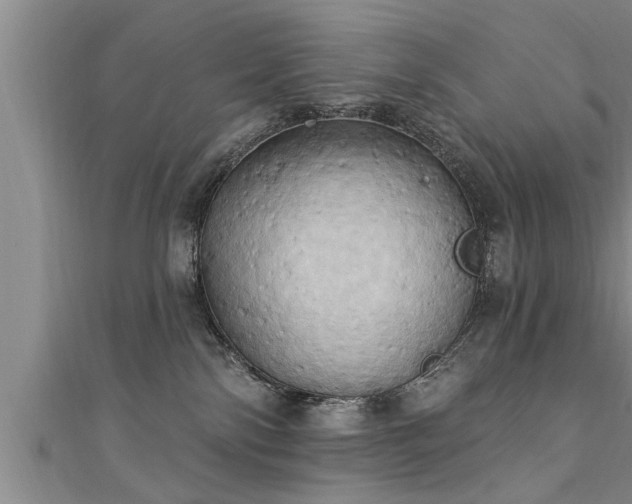 X0000111360138200907171212
