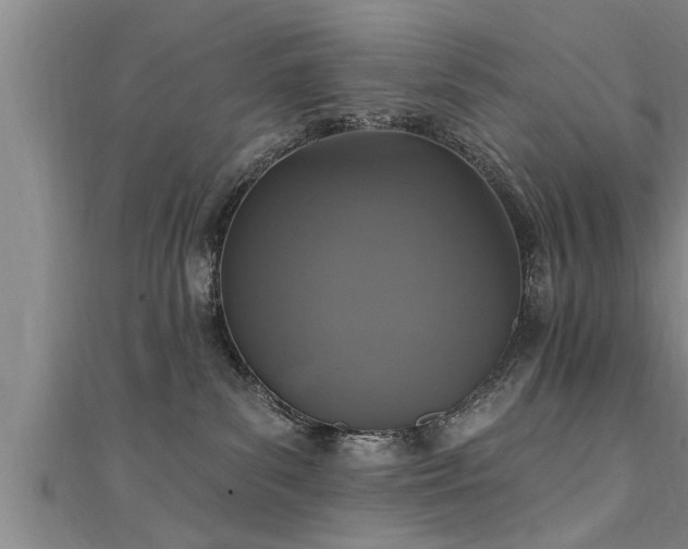 X0000111360139200907171212
