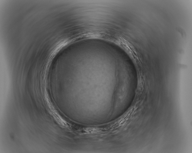 X0000111360145200907171211