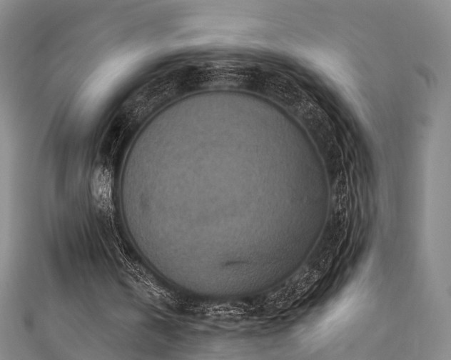 X0000111360146200907171211