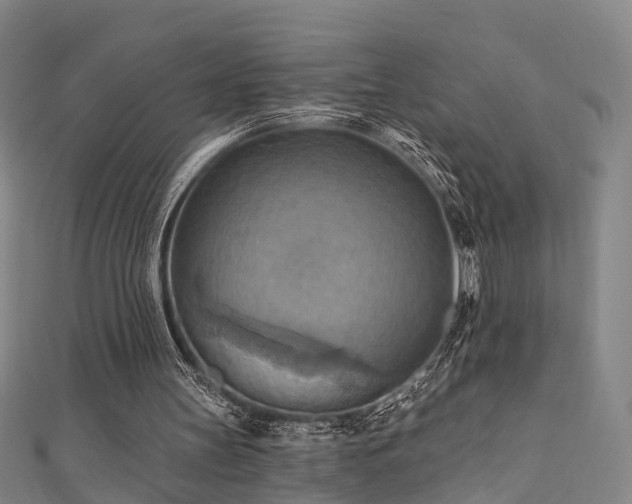 X0000111360147200907171211