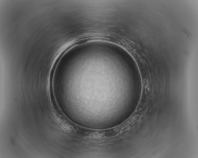X0000111360148200907171211