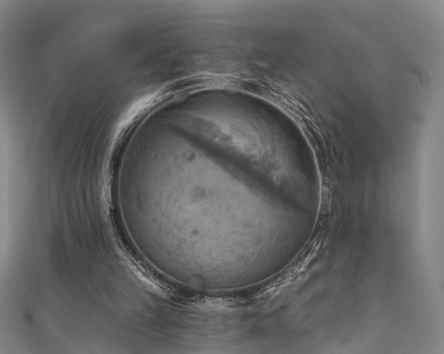 X0000111360149200907171211