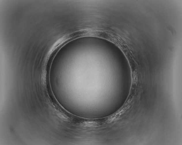 X0000111360150200907171211