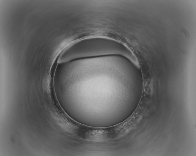 X0000111360152200907171211