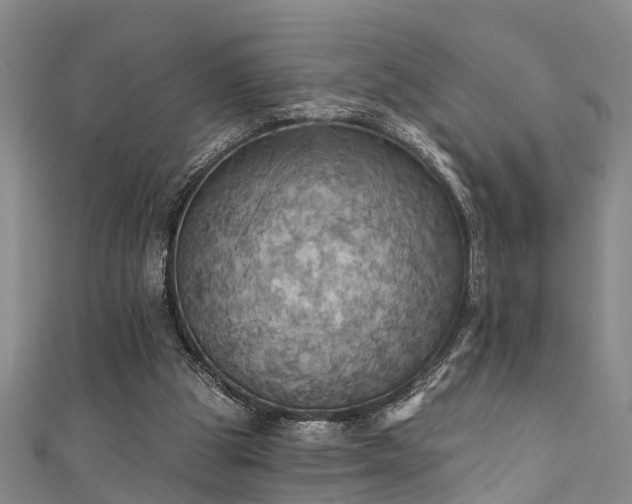 X0000111360153200907171211