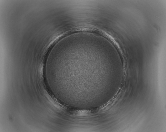 X0000111360154200907171211