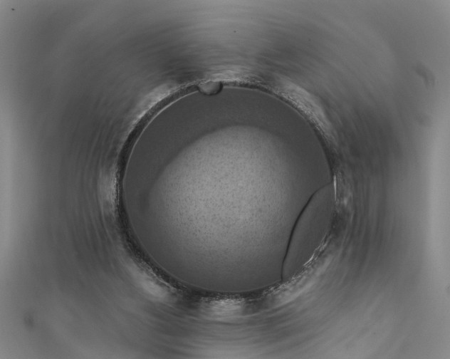 X0000111360156200907171211