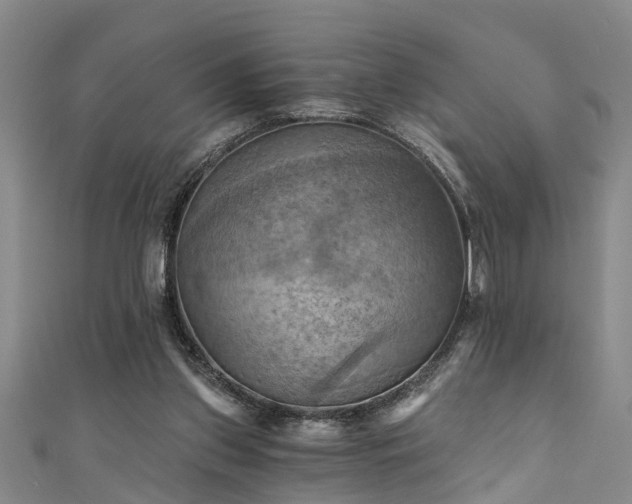 X0000111360157200907171211