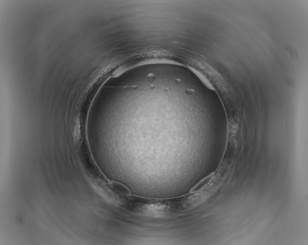 X0000111360158200907171211