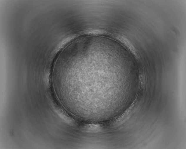 X0000111360159200907171211