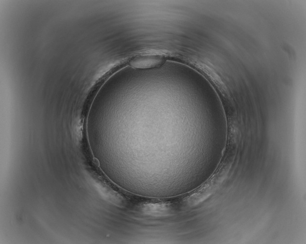 X0000111360160200907171211