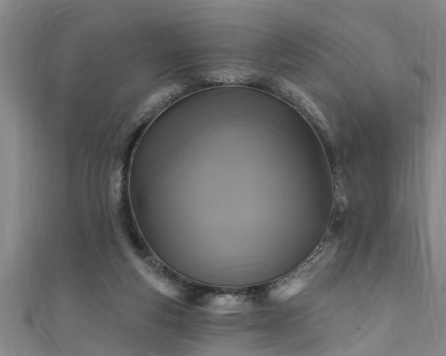 X0000111360163200907171211