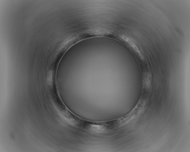 X0000111360167200907171211