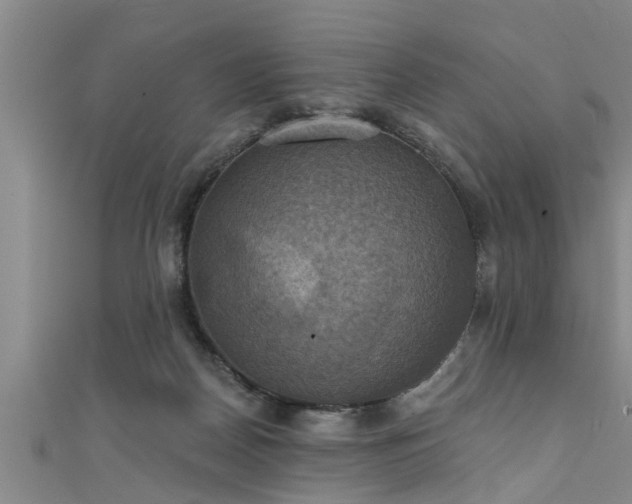 X0000111360170200907171211