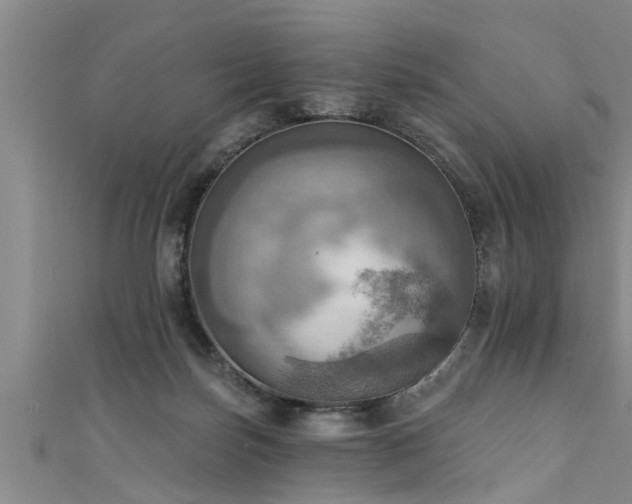 X0000111360171200907171211