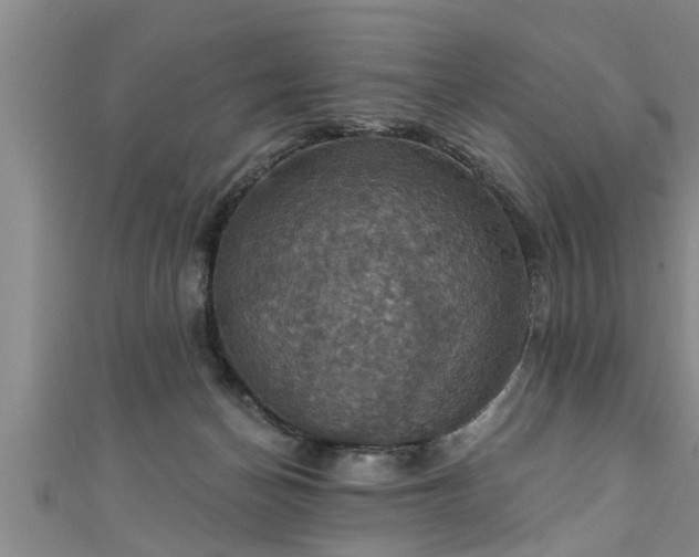 X0000111360174200907171211