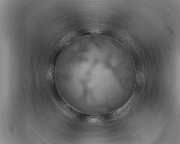X0000111360175200907171211